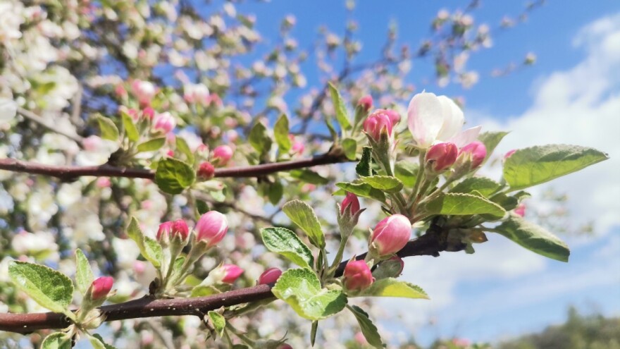 Nakon sunčanih dana, ponovo promjena vremena - bit će i mraza