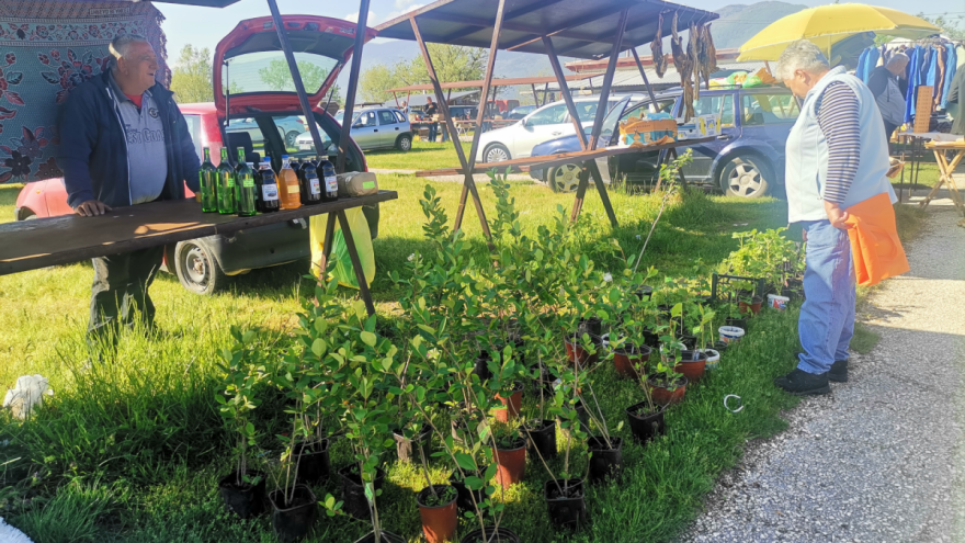 Gužva kod Sokola – traži se sve od Hošafnjača do petrolejske vode