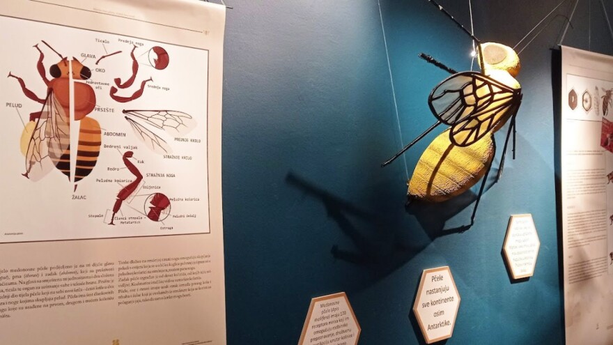 Dražen Kocet: Realna cijena domaćeg meda treba biti od 10 do 15 eura