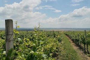 Šta donosi novi ZPP? Klimatske promene i održivost
