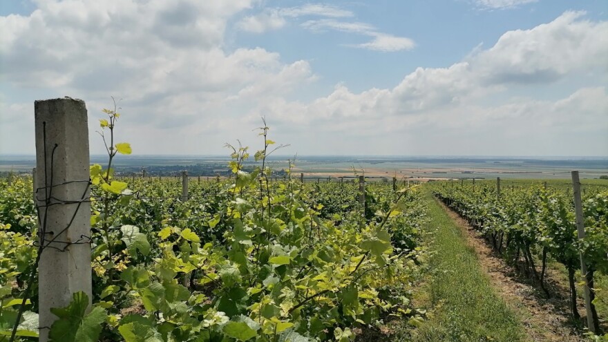 Šta donosi novi ZPP? Klimatske promene i održivost