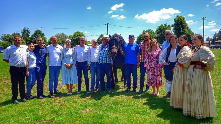 Na Državnoj konjogojskoj izložbi šampioni pastuh Patrik i kobila Luna