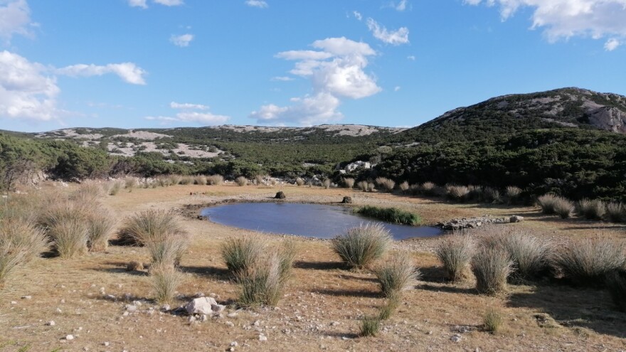 Da lokve zbog nebrige nisu presušile, danas bi se lakše borili sa sušom
