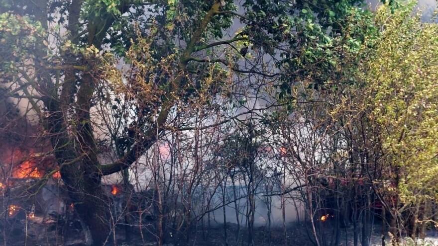 Veliki požar u Puli koji se brzo širio zbog jake bure stavljen pod kontrolu