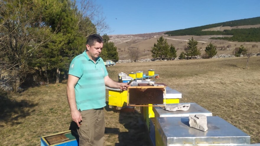 Užas u Tomislavgradu – od opake bolesti stradale pčele u više od 50 košnica