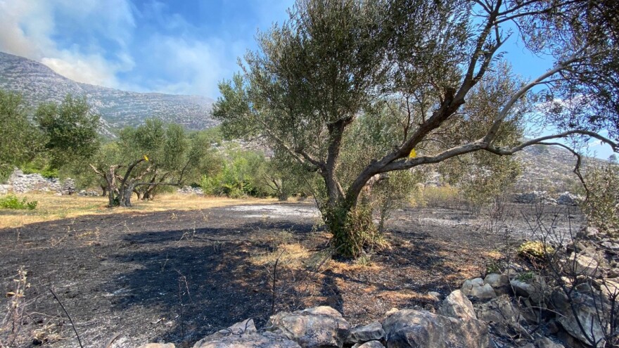 Zbog požara otkazan sajam "Dani Mediterana 2022" u Neumu