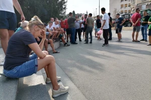 "Pao" dogovor između Nedimovića i poljoprivrednika Vojvodine?