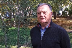 Ekspanzija maslinarstva u Hercegovini: Oprezno s cijenama ulja