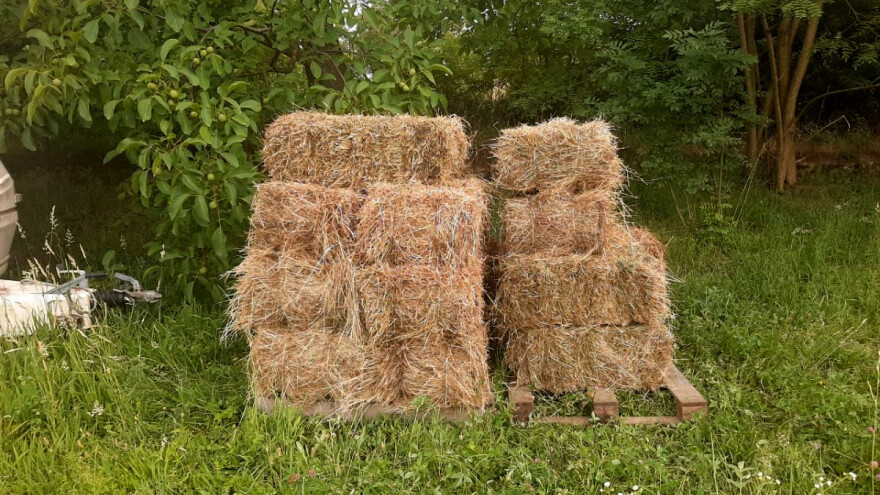 Promjena strukture sjetve i pravljenje sjenaže mogu spasiti stočare