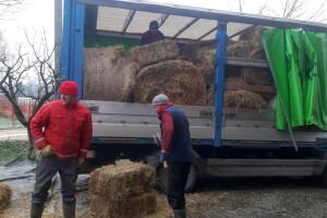 Farmeri velikog srca: Mljekari TK poslali konvoj pomoći Jusufu Muranoviću