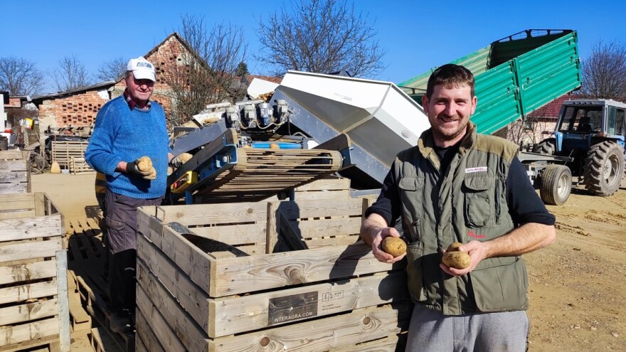 Ne boje se gdje će s krumpirom, sve što proizvedu prodaju