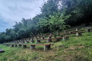 Poslovi na njivama još će pričekati, pljuskovi i ove sedmice