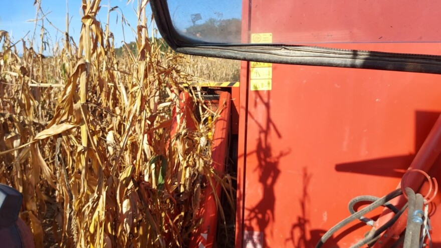 Nesreća u berbi kukuruza: Rukom pokušao odštopati stroj