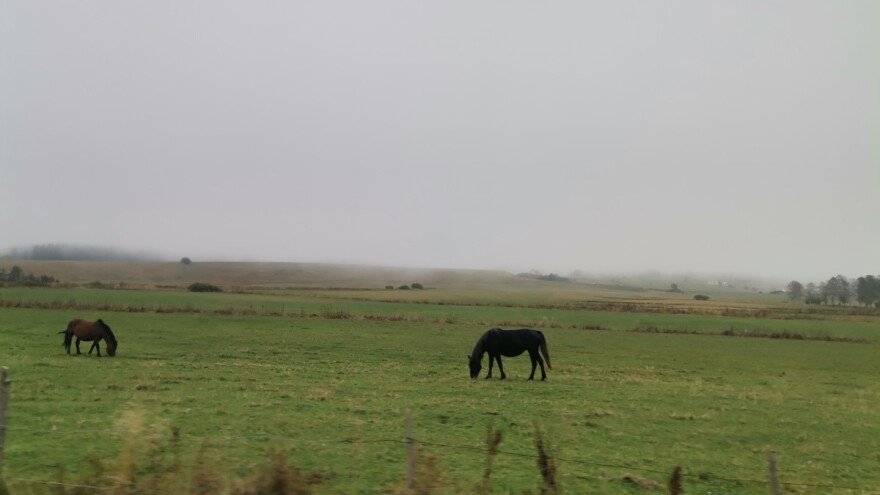 Ako je uoči Miholja vedra noć, zima će imati veliku moć