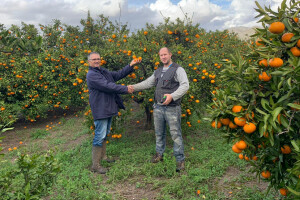 Matko Filipović: Stanje s mandarinama? Skuplja je poštanska marka s njenim likom od nje same