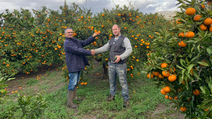 Matko Filipović: Stanje s mandarinama? Skuplja je poštanska marka s njenim likom od nje same