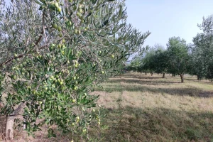 Ipak bez brisanja iz ARKOD-a? Ministarstvo donijelo izmjene Pravilnika