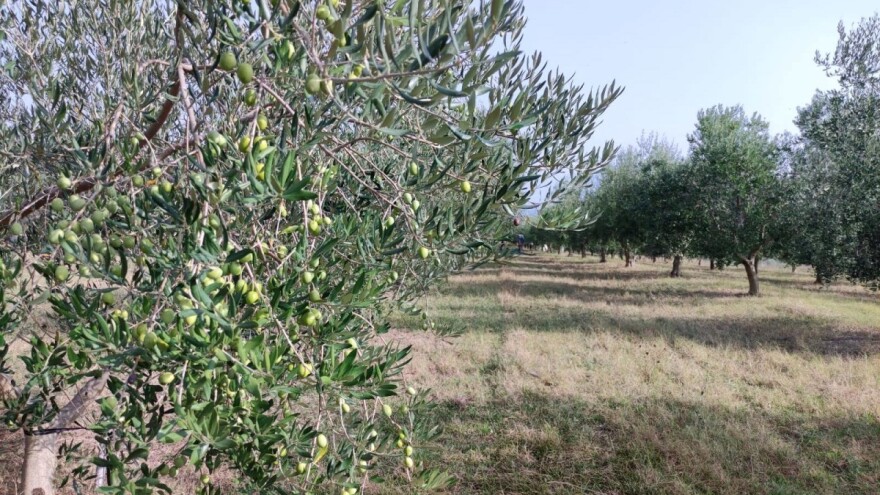 Ipak bez brisanja iz ARKOD-a? Ministarstvo donijelo izmjene Pravilnika