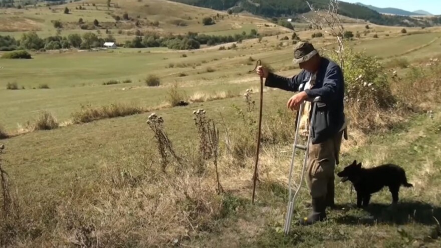Napadnuti čoban Mićo za Agroklub: Ja sam čovjek na štakama, tukli su me palicama