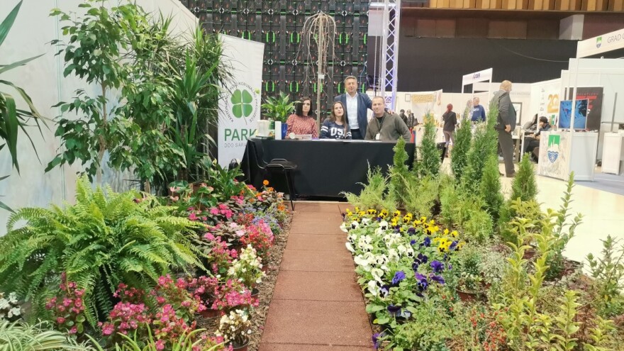 Za bogat cvjetni vrt u jesen i proljeće - birajte maćuhice