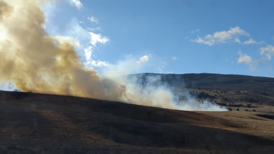 Koliko štete paljenje trave uzrokuje zemljištu?