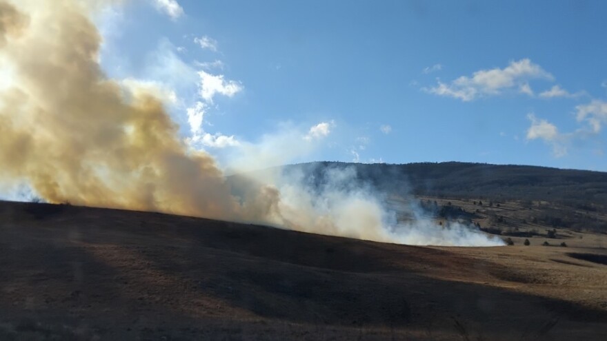 Koliko štete paljenje trave uzrokuje zemljištu?