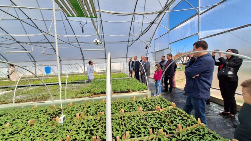 Kako izgleda jedan od najsavremenijih plastenika u BiH?