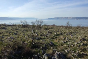 Otužno stanje hrvatske ekološke poljoprivrede
