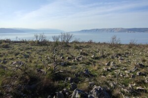 Otužno stanje hrvatske ekološke poljoprivrede