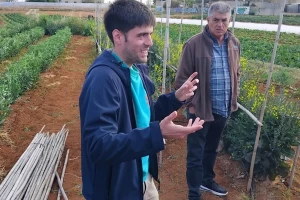 Agroklub u Valensiji: Čime se bave španski poljoprivrednici i šta im zadaje glavobolju?