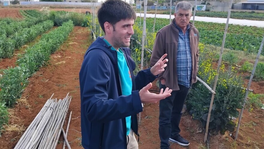 Agroklub u Valensiji: Čime se bave tamošnji poljoprivrednici i šta im zadaje glavobolju?