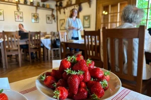 Svaka četvrta jagoda uzgojena u RH dolazi iz Zagrebačke županije, a koja je najukusnija?