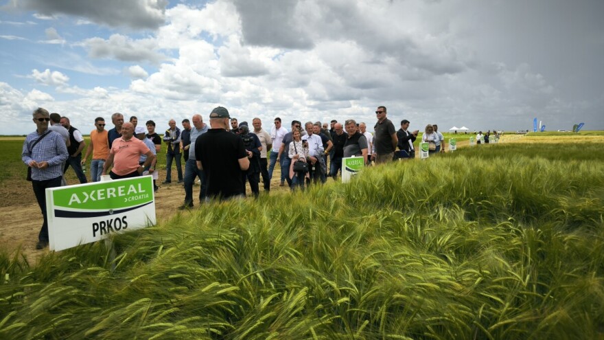 Od pivarskog ječma očekuju visok prinos, iako ovakvu godinu ne pamte