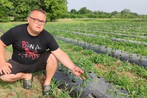 Hudi kokot - ime koje sve govori, Marijeve ljute papričice sve traženije
