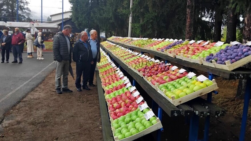 Dani voća: Kažu nema boljeg od onog na obroncima Kozare