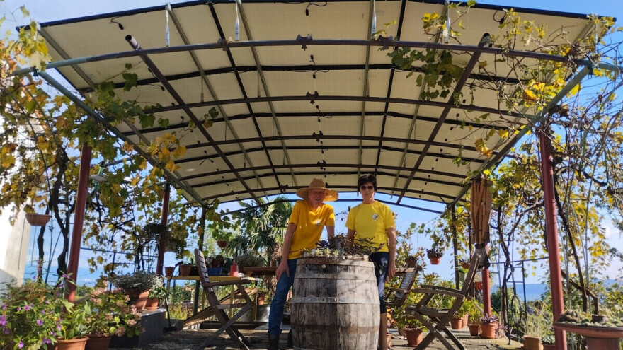 Želimir Depoli: Energetika je svakim danom skuplja, iskoristite priliku dok možete