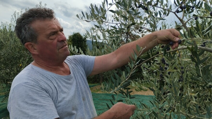 Zlatko Matijašić: Ekološka proizvodnja je budućnost, kupcima je kvaliteta ispred cijene