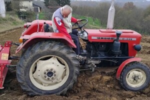 Neka čizma presudi: Kako pripremiti parcelu za sadnju borovnica?