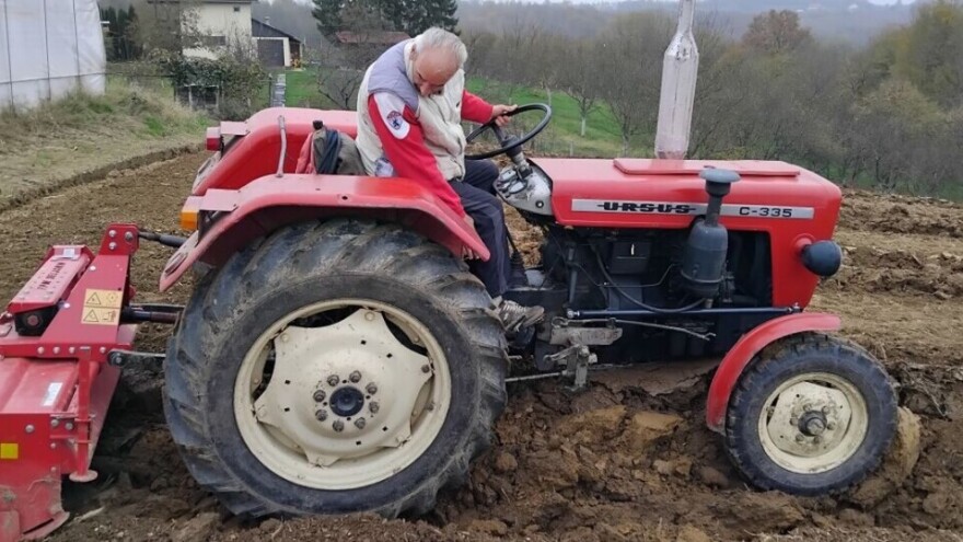 Neka čizma presudi: Kako pripremiti parcelu za sadnju borovnica?