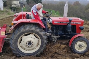 Neka presudi čizma: Kako pripremiti parcelu za sadnju borovnica?