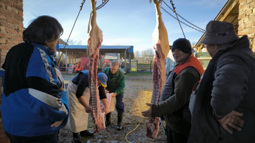 Sve je manje svinjokolja: Svinjci prazni, a analiza, paprika  i crijeva skuplji