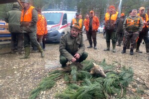 Nakon pet godina vuk pao na Ozrenu: "Došao je s moje lijeve strane"