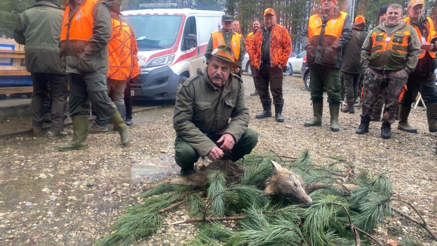 Nakon pet godina vuk pao na Ozrenu: "Došao je s moje lijeve strane"