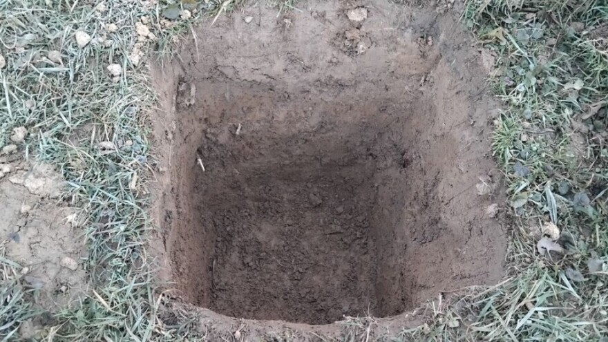 Koliko treba da budu duboke i široke rupe za sadnju voća?