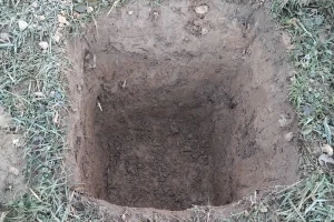 Koliko trebaju biti duboke i široke rupe za sadnju voća?