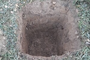 Koliko trebaju biti duboke i široke rupe za sadnju voća?