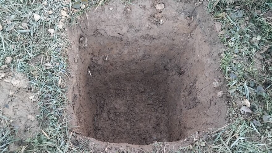 Koliko trebaju biti duboke i široke rupe za sadnju voća?