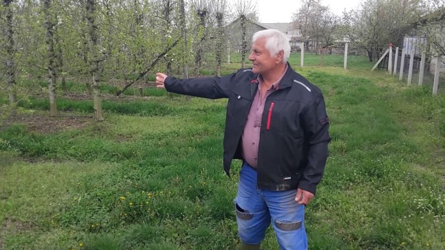 Bubulj lani ubrao 80 tona jabuke: "Još se držimo, ali ne znam do kada"