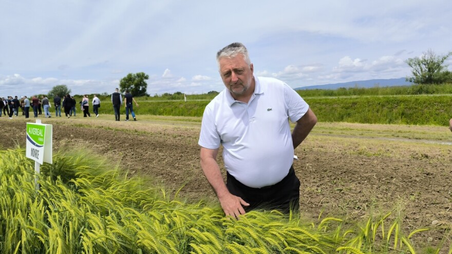 Zvonimir Kovačec: Pivarski ječam je potisnuo proizvodnju pšenice s mog OPG-a