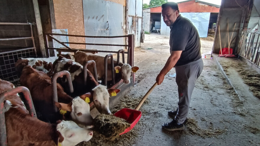 Josip Lukić: Mljekarski sektor može spasiti samo realna proizvođačka cijena mlijeka